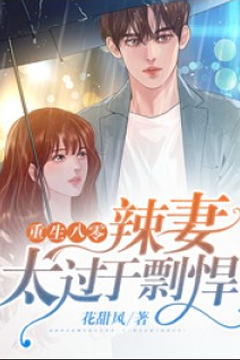 重生八零：辣妻太过于剽悍